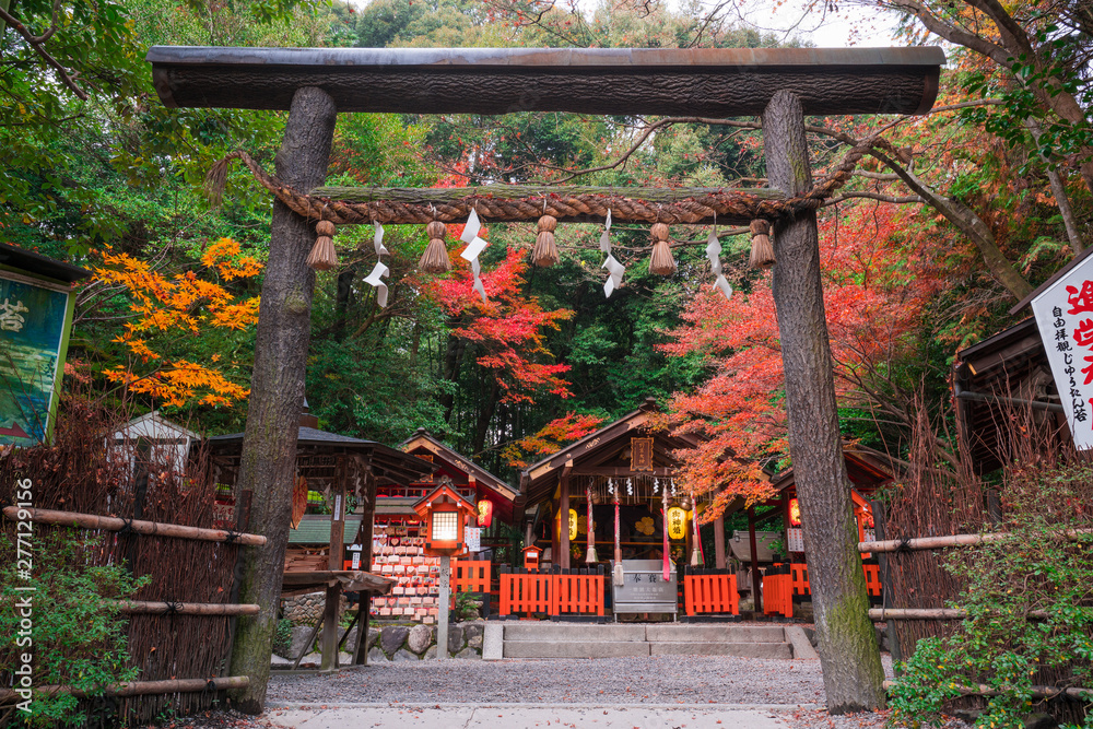 京都 野宮神社の紅葉 StockFoto Adobe Stock