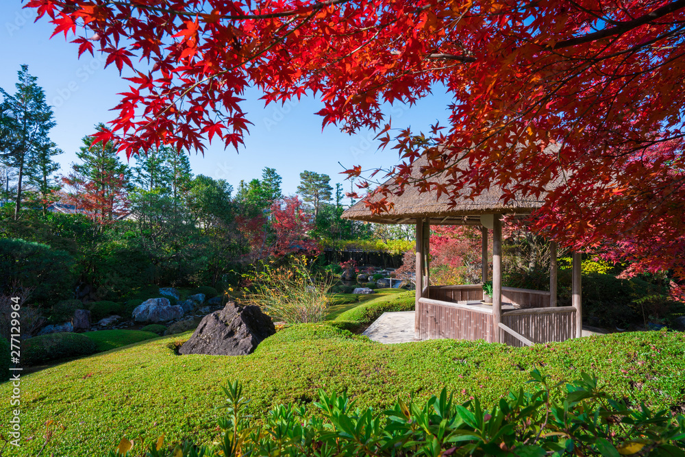 京都　妙心寺　退蔵院の紅葉
