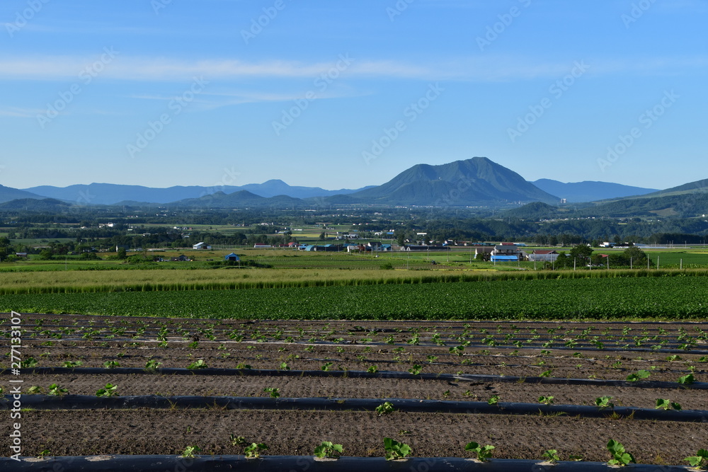 Landscape with mountain and field in Hokkaido, Japan