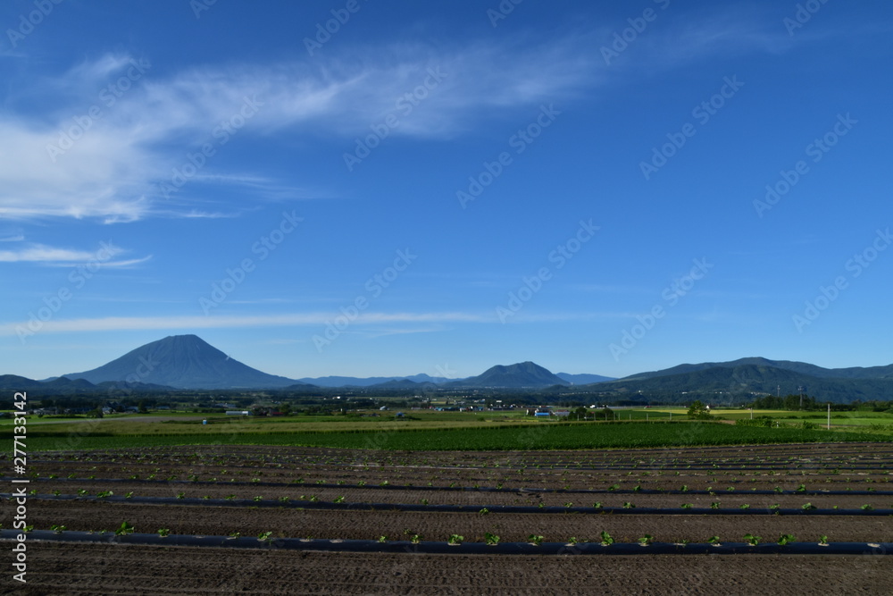 Landscape with mountain and field in Hokkaido, Japan