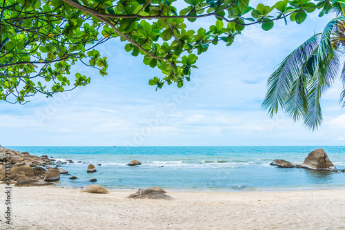 Fototapeta Naklejka Na Ścianę i Meble -  Beautiful outdoor tropical beach sea around samui island with coconut palm tree and other