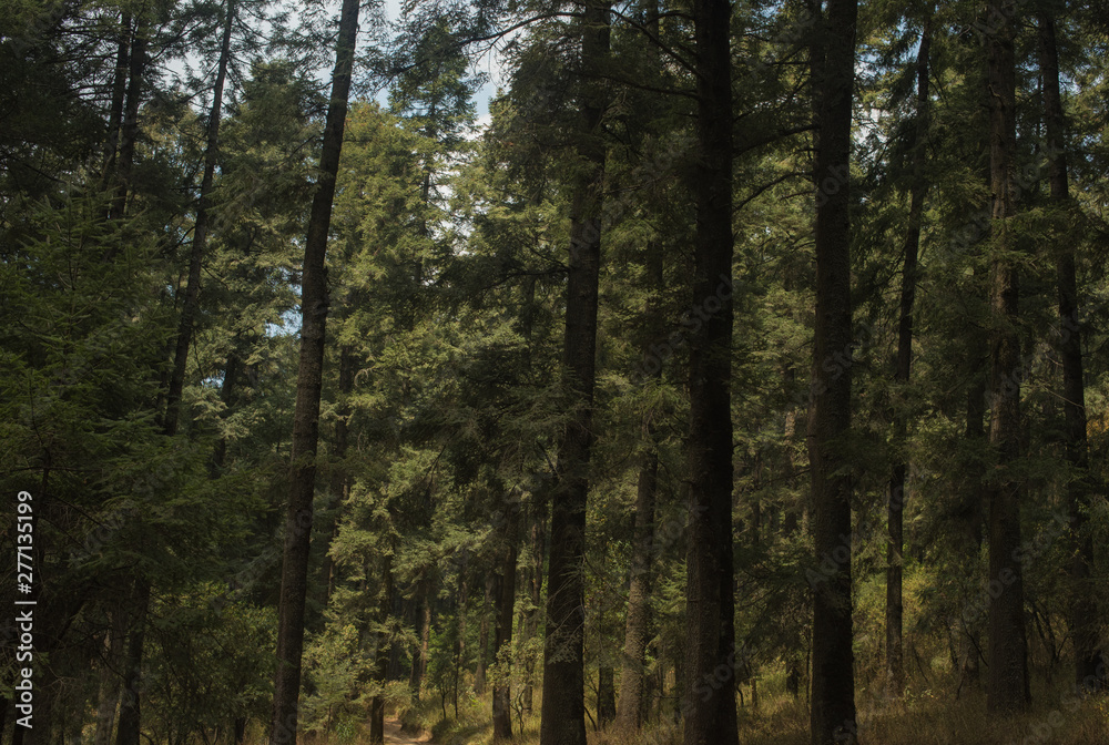 Naklejka premium La Marquesa National Park, with the official name 