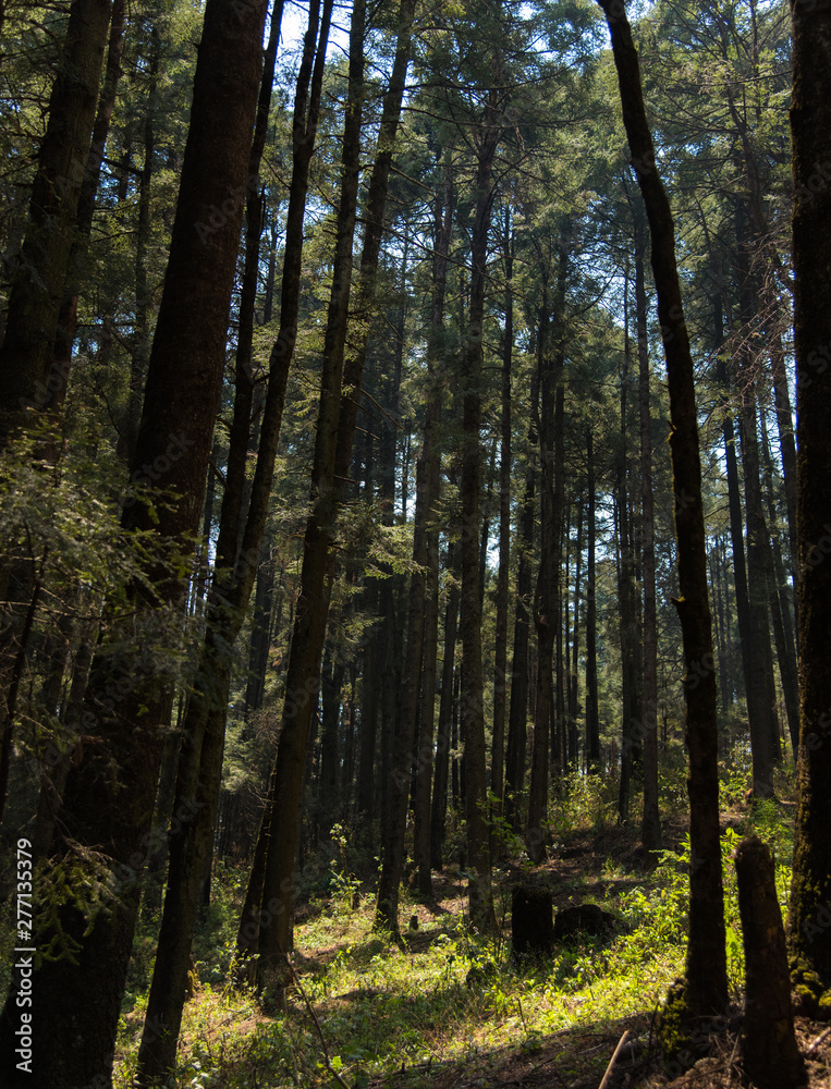Fototapeta premium La Marquesa National Park, with the official name 