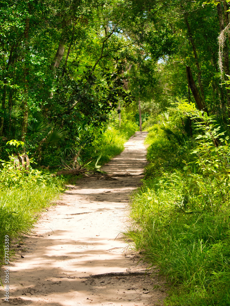 An amazing walk around Wekiwa Springs state park An amazing walk around Wekiwa Springs state park