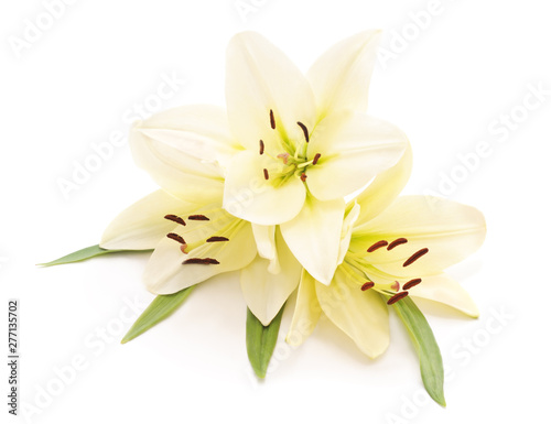 Three white lilies.