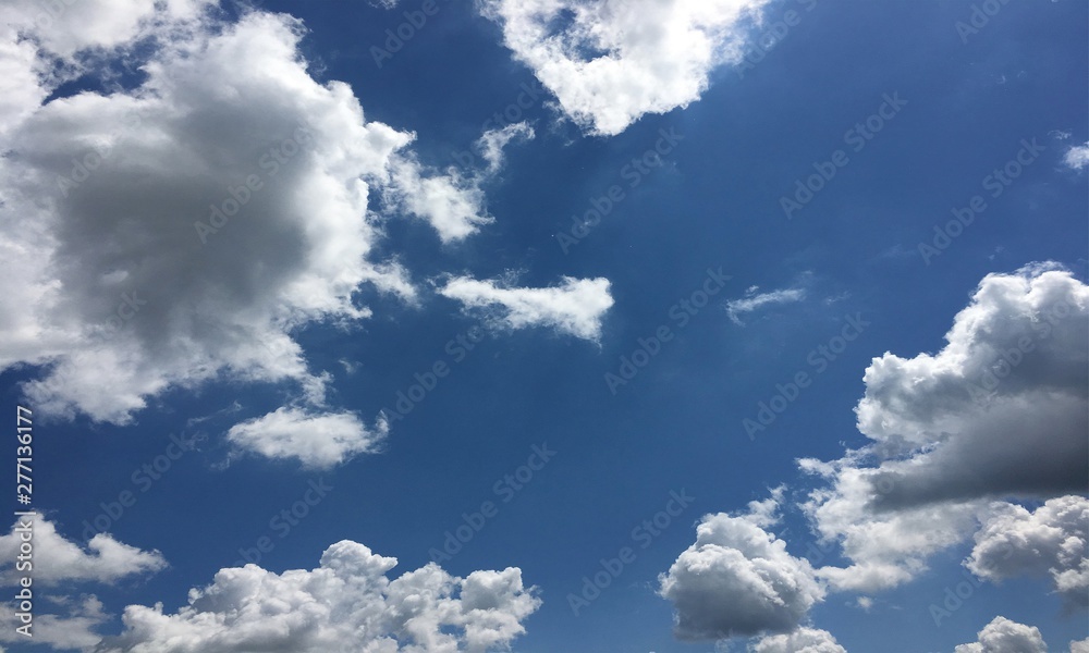Fototapeta premium clouds, sky blue background. cloud blue sky.