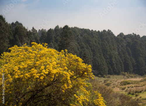 La Marquesa National Park, with the official name 