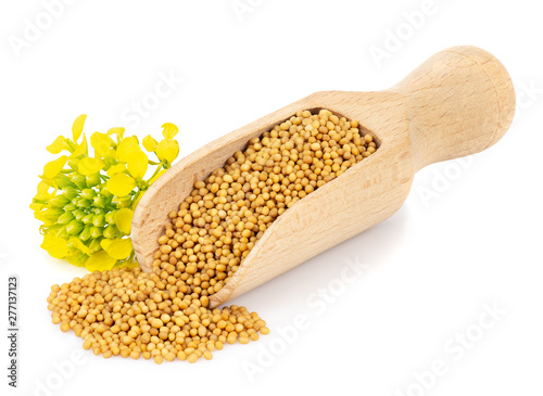 mustard seeds in wooden scoop photo