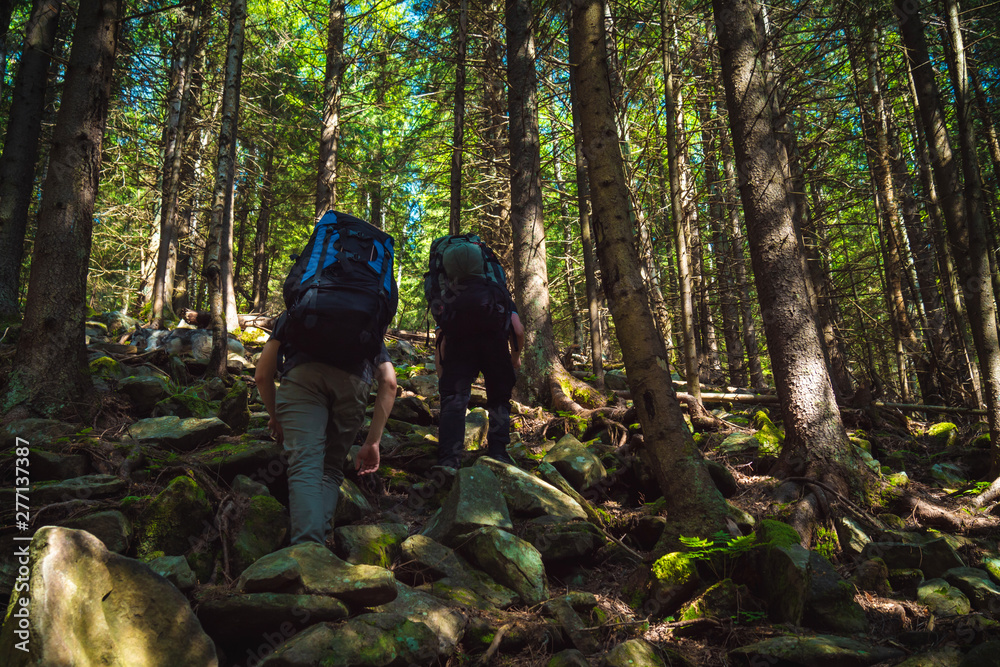 Two friends travel in the mountains with backpacks Two friends travel in the mountains with backpacks