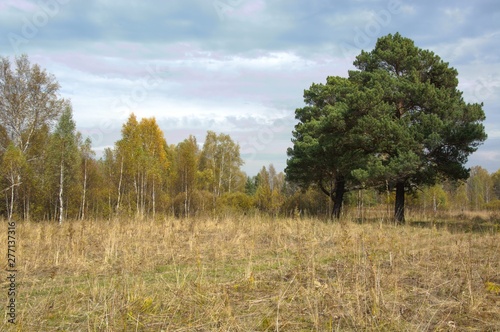 nature of Kuzbass, Russia.
