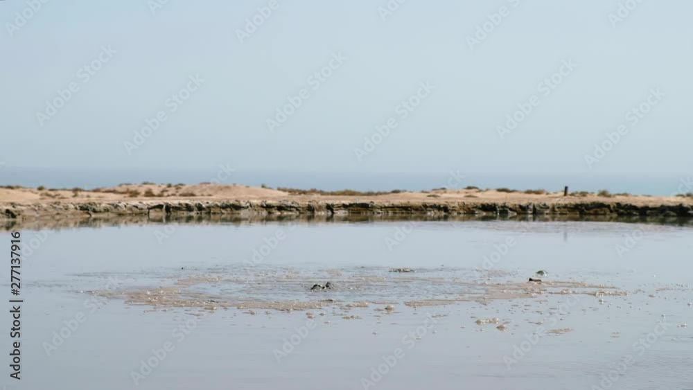 Crater of mud volcano bursting bubbles with natural gas. Famous nature landmark of Gobustan area near Baku in Azerbaijan Crater of mud volcano bursting bubbles with natural gas. Famous nature landmark of Gobustan area near Baku in Azerbaijan