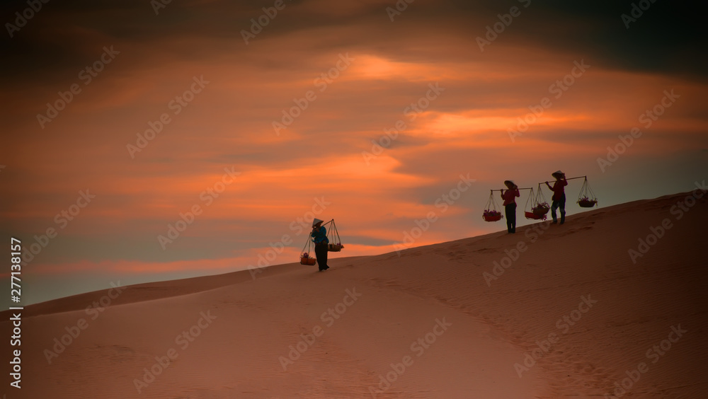 Lifestyle of Asian women carrying baskets on her shoulders in the desert at sunset or sunrise time, Mui Ne, Vietnam.Asian women is walking and carry basket.    