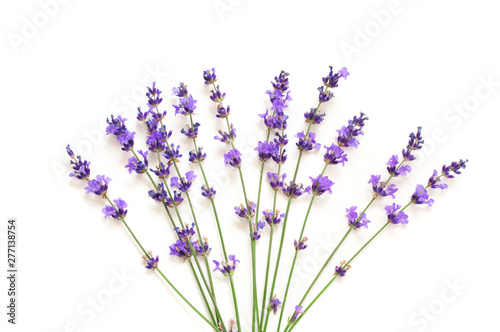 Lavender flowers isolated on white