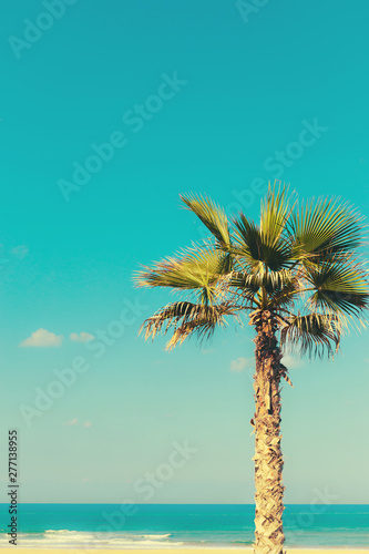 Palm tree on the beach against vivid blue sky. Beautiful nature background. Summer vacation  travel and tropical beach concept.