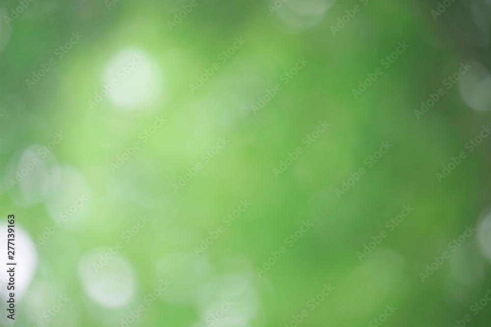 Fototapeta premium Bokeh green nature, Subtle background in abstract style for graphic design