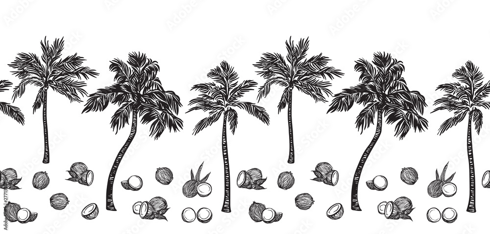 Black sketch palm tree and coconut outline horizontal seamless border. Vector drawing coco plants. Hand drawn endless illustration, isolated on white background