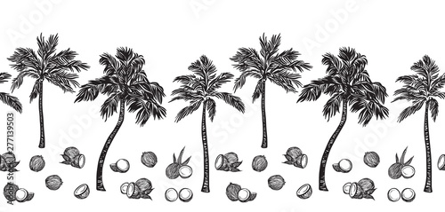 Black sketch palm tree and coconut outline horizontal seamless border. Vector drawing coco plants. Hand drawn endless illustration, isolated on white background