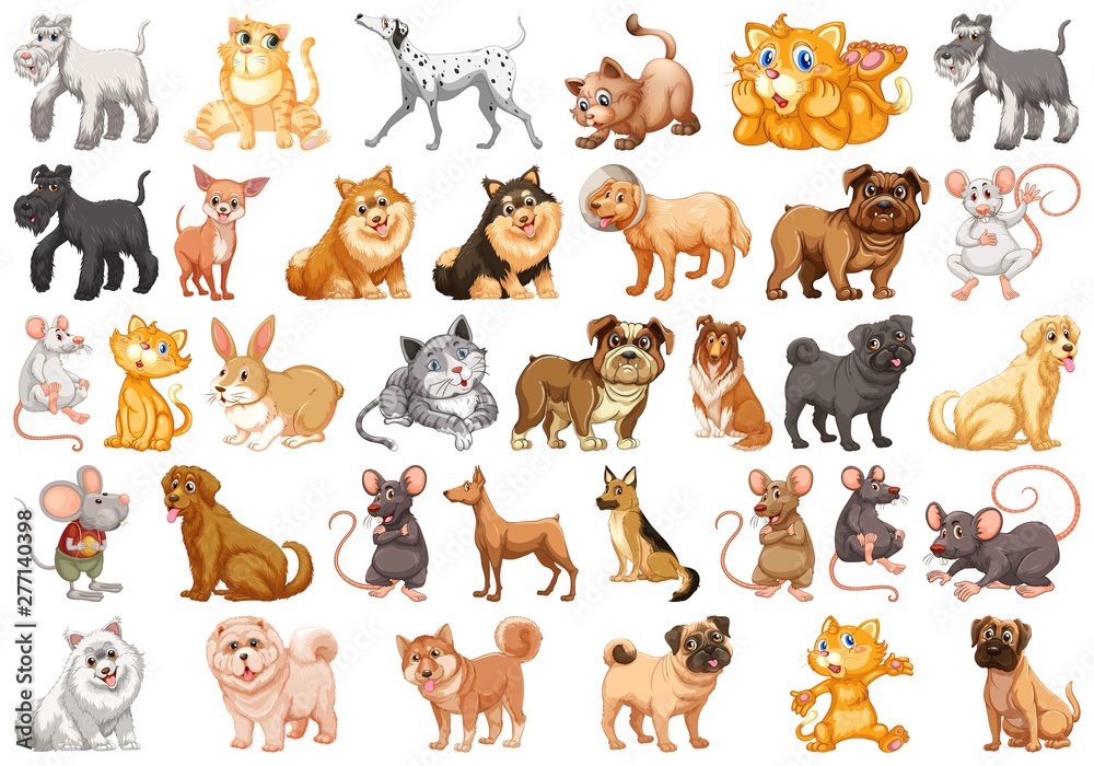 Set of different pets