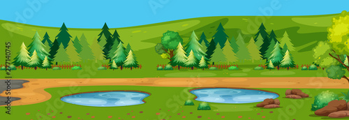 Nature woods landscape scene
