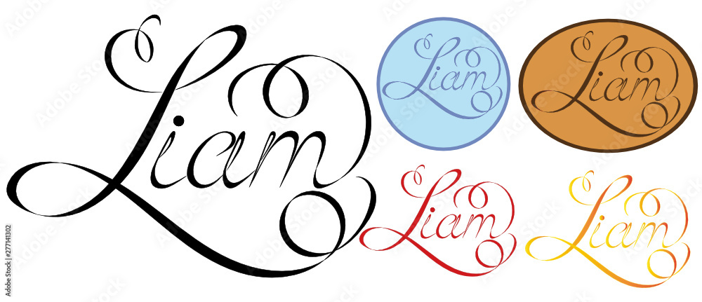 Name Liam, made in the vector for use in various purposes, from embroidery to printing business cards.