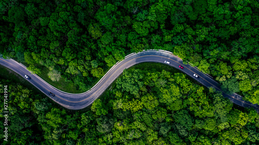 Fototapeta premium Forest Road widok z góry, widok z lotu ptaka asfaltowa droga w tropikalnym lesie z drogą przechodzącą przez samochód, koncepcja tło przygoda w Azji.