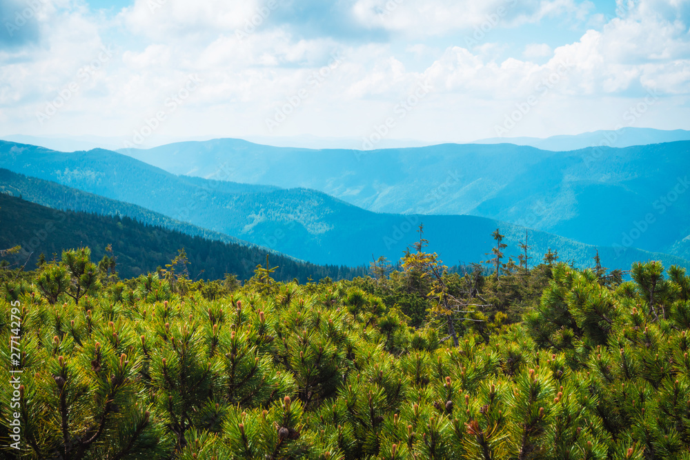 Fototapeta premium mountain hills beautiful mountain landscape