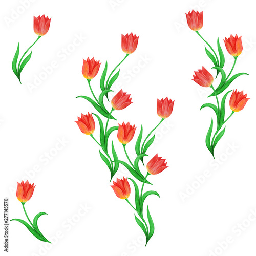 Set of tulip flowers for design and decoration. Red flowers and green leaves.  © Mariia