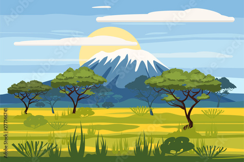African landscape savannah wild nature. Grass, bushes, acacia trees and mountane