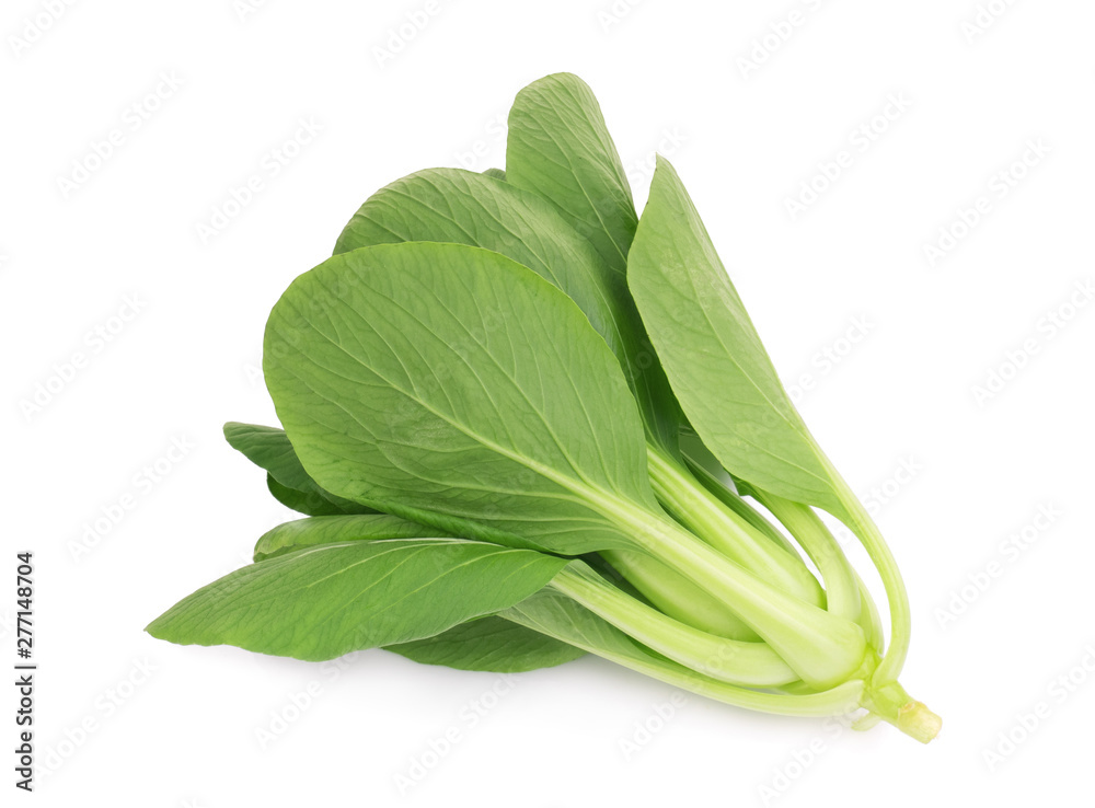 fresh green bok choy,chinese cabbage or pak chai isolated on white background fresh green bok choy,chinese cabbage or pak chai isolated on white background