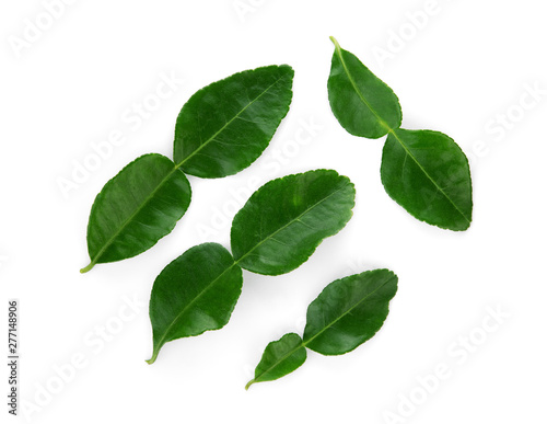 bergamot leaf isolated on white background, top view, flat lay
