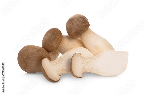king oyster mushroom isolated on white background