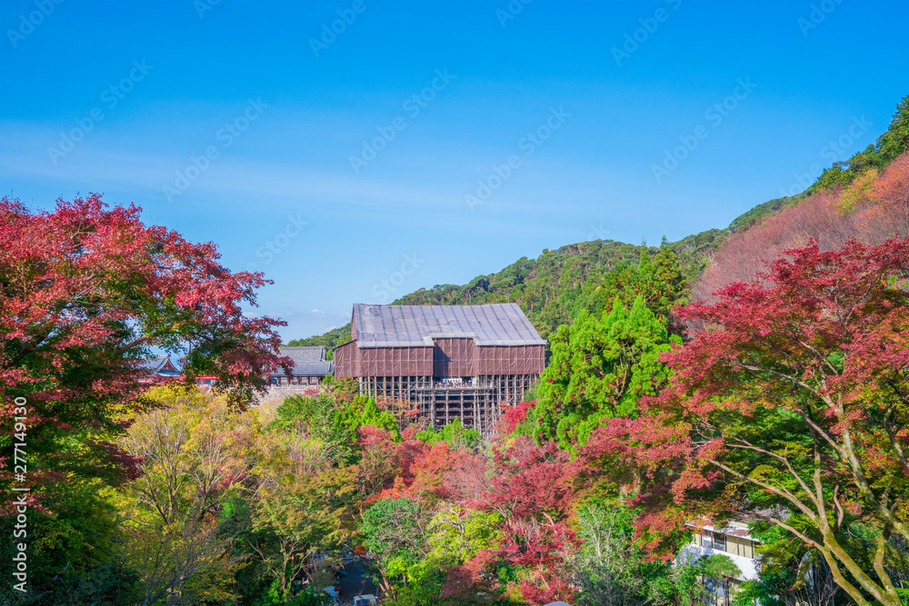 京都　清水寺　修理中の舞台と紅葉　