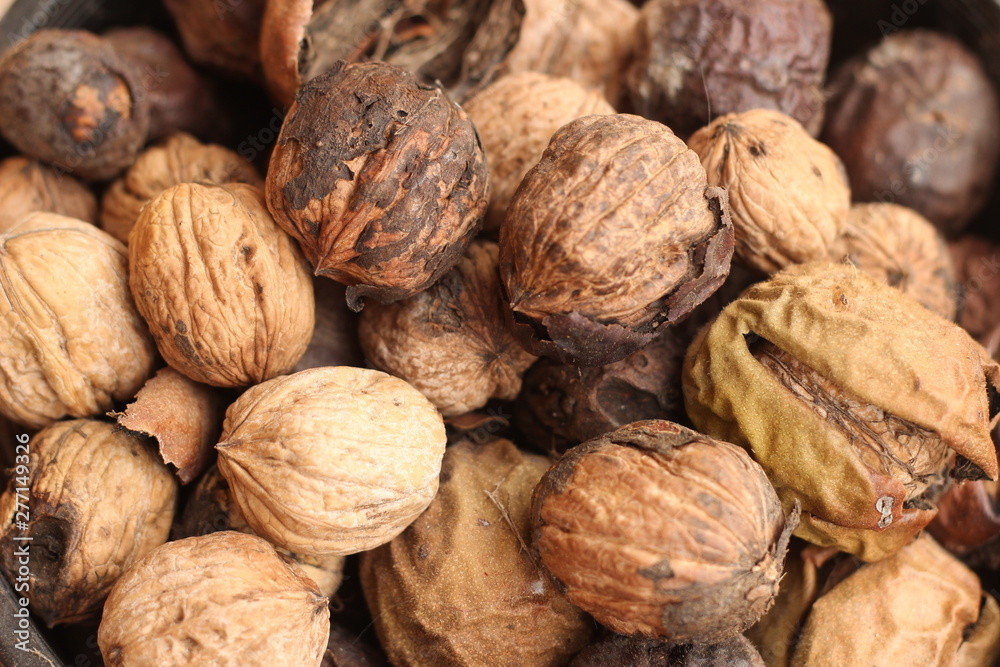 pile of drying freshly picked organic walnuts still in their hard brown cracking shell cases on a farm in rural Australia pile of drying freshly picked organic walnuts still in their hard brown cracking shell cases on a farm in rural Australia