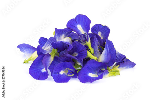 Fototapeta Naklejka Na Ścianę i Meble -  butterfly pea, blue pea, or asian pigeonwings flower isolated on white background, tropical flower