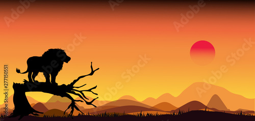 Amazing Panorama silhouette tree in africa with sunset.Dark tree on open field dramatic sunrise.Safari theme.Giraffes   Lion   Rhino