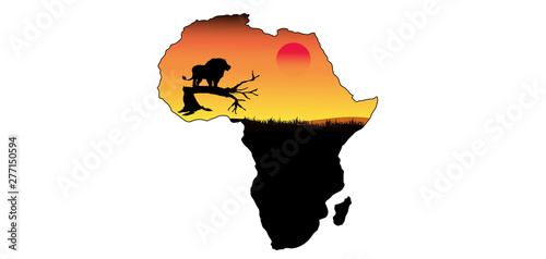 Amazing sunset and sunrise.Panorama silhouette tree in africa with sunset.Tree silhouetted against a setting sun.Dark tree on open field dramatic sunrise.Safari theme.Giraffes   Lion   Rhino.