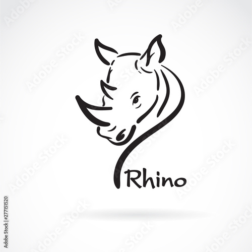 Vector of freehand rhino head painting. Wild Animals. 