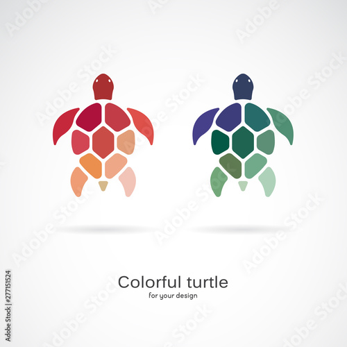 Vector of two colorful turtles on white background. Wild Animals. Underwater animal. Turtle icon or logo. Easy editable layered vector illustration.