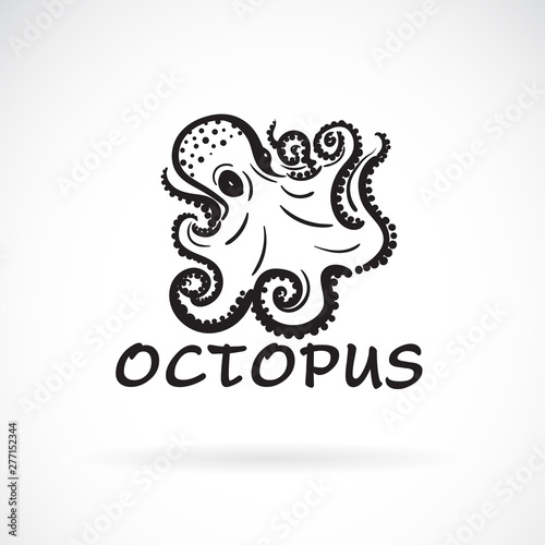 Vector of freehand octopus painting on white background. Sea animal. Easy editable layered vector illustration.