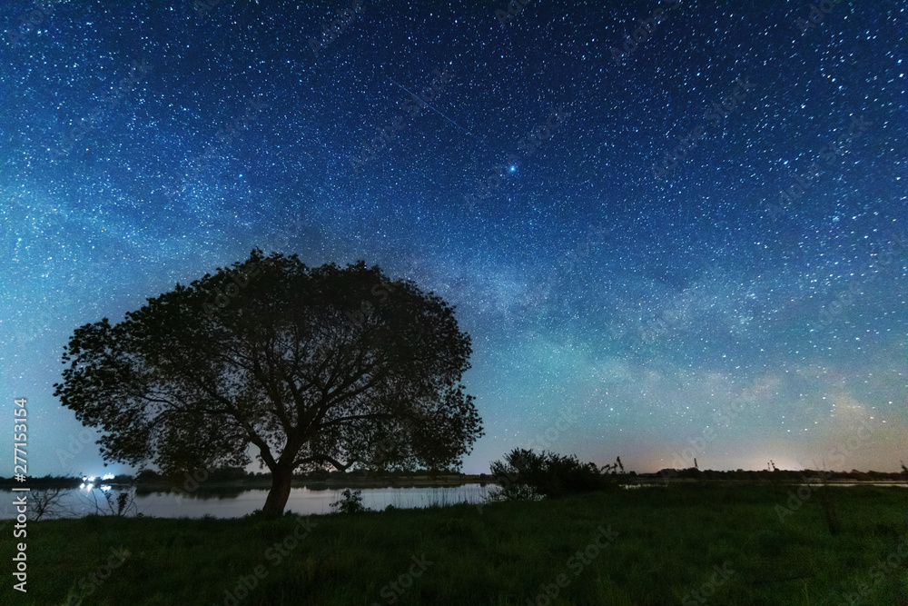 Magic starry night with the galaxy Milky way near the river with a large tree Magic starry night with the galaxy Milky way near the river with a large tree