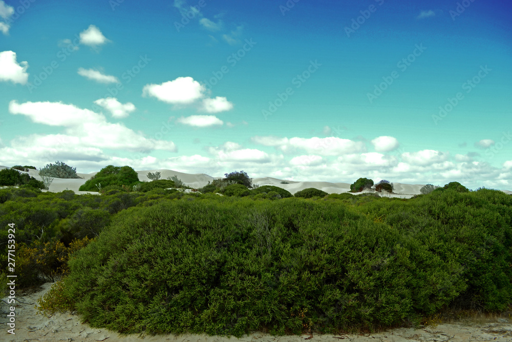 View of white sand dunes near Cervantes, Western Australia