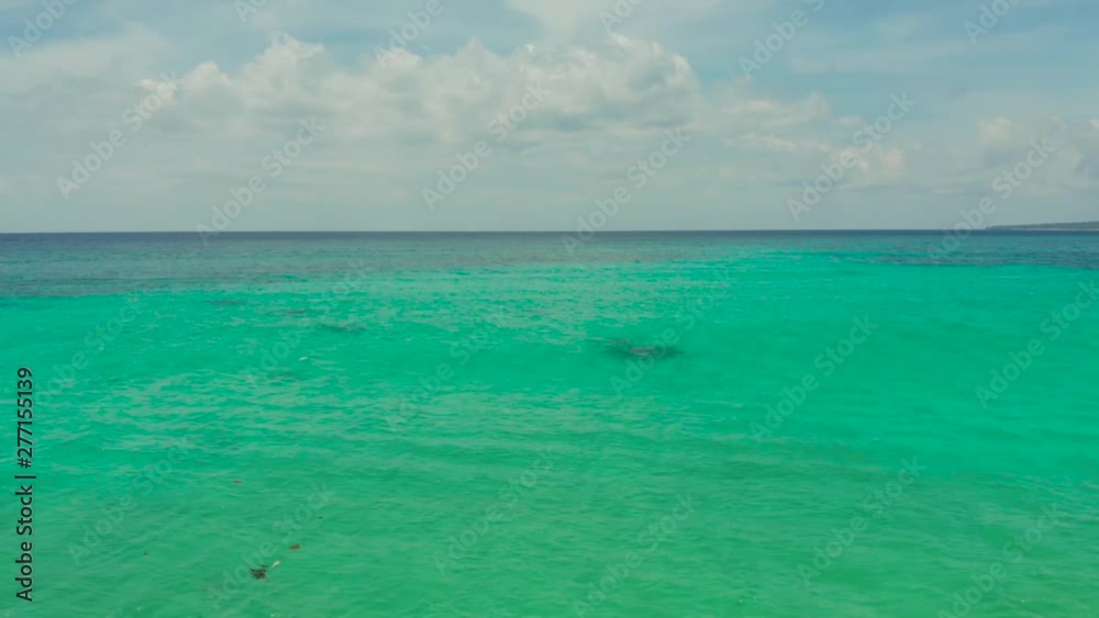 Tropical sandy beach with wave and turquoise water,copy space for text, aerial view. Ocean with waves and tropical beach. Summer and travel vacation concept Tropical sandy beach with wave and turquoise water,copy space for text, aerial view. Ocean with waves and tropical beach. Summer and travel vacation concept