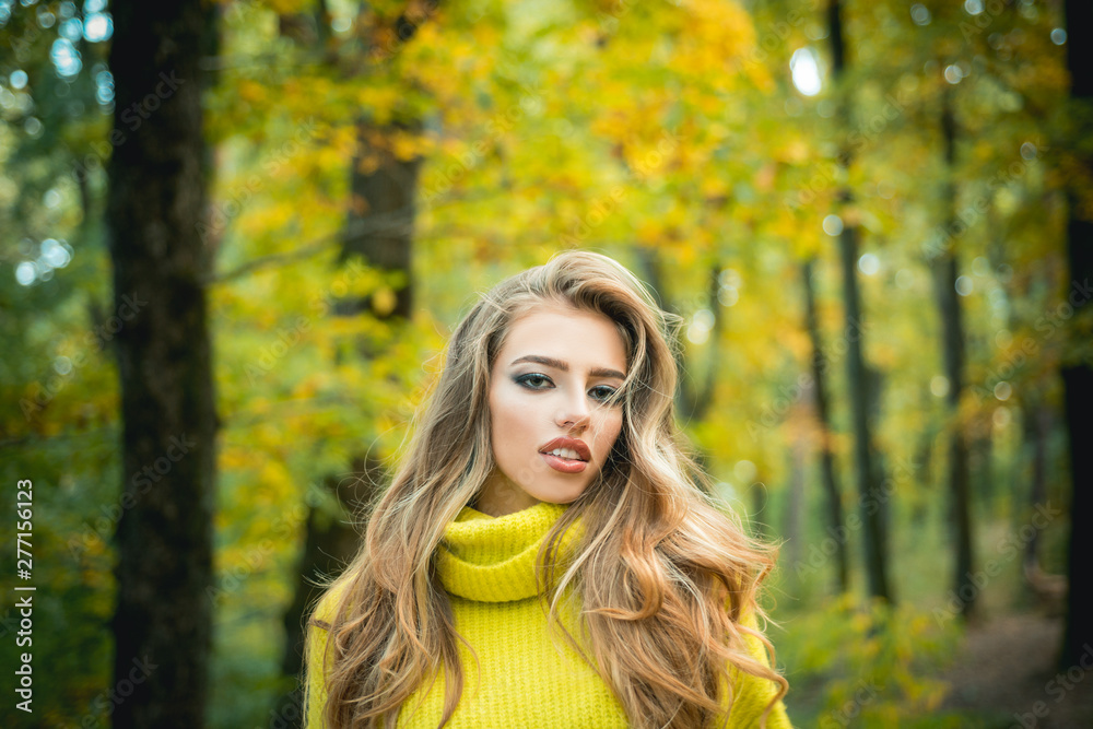 Beautiful Woman with Autumn Leaves on Fall Nature Background. Outdoor portrait Gorgeous brunette model girl with sunny day light. Fashion photo of young beautiful lady surrounded autumn leaves. Beautiful Woman with Autumn Leaves on Fall Nature Background. Outdoor portrait Gorgeous brunette model girl with sunny day light. Fashion photo of young beautiful lady surrounded autumn leaves.