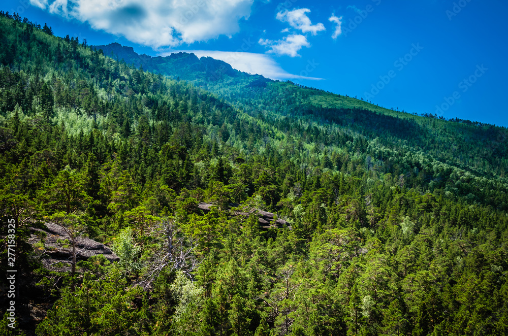 A mountainside slope covered with pine forest in a bright sunny day the blue sky and clouds