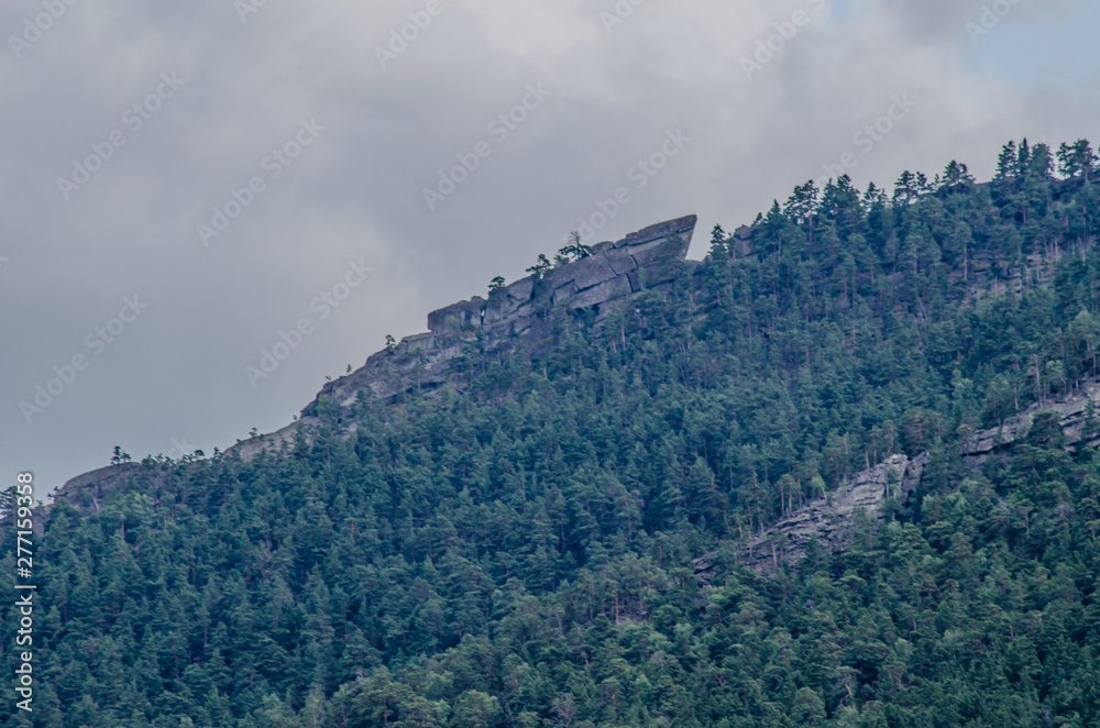Beautiful mountain peak in clouds with rocks and pine forest