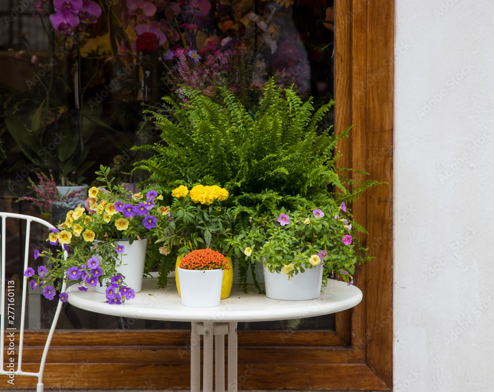 Fototapeta premium table with plants and flowers, florist