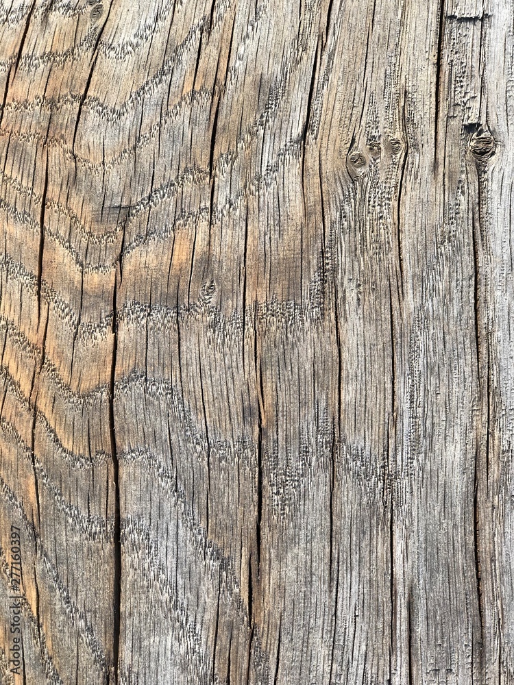 texture of wood texture of wood