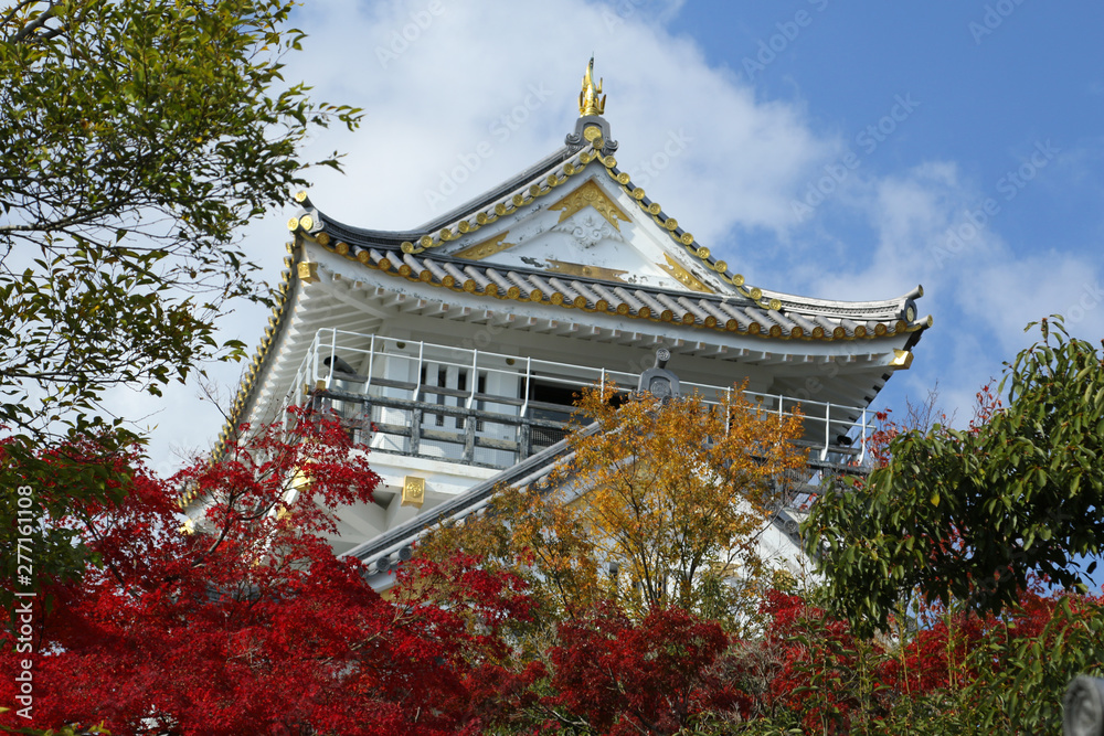 紅葉と岐阜城 岐阜城の紅葉風景 紅葉風景 紅葉と岐阜城 岐阜城の紅葉風景 紅葉風景