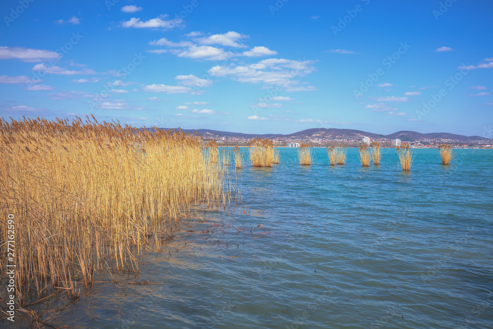 The shore of Lake Balaton on the Tihany peninsula. Hungary, Europe