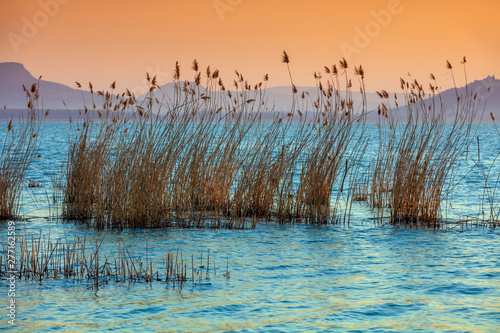 Fototapeta Naklejka Na Ścianę i Meble -  The shore of Lake Balaton on the Tihany peninsula. Hungary, Europe